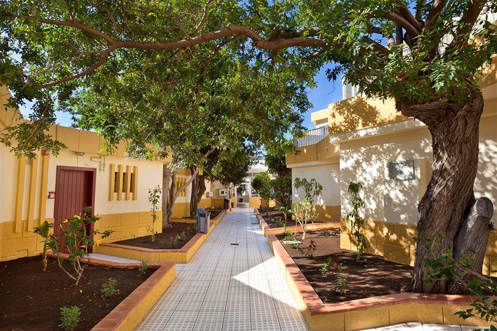 Apartamentos Plataneras Los Cristianos  Zewnętrze zdjęcie